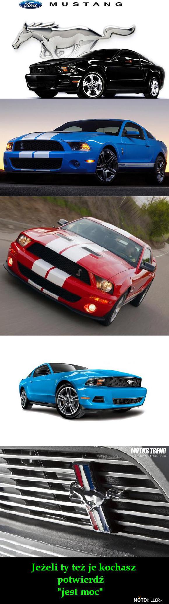 Kocham To – Na zdjęciach są:
- Ford Mustang V
- Ford Mustang Shelby GT500
&quot;Ford Mustang&quot; jest produkowany od 1964 roku 