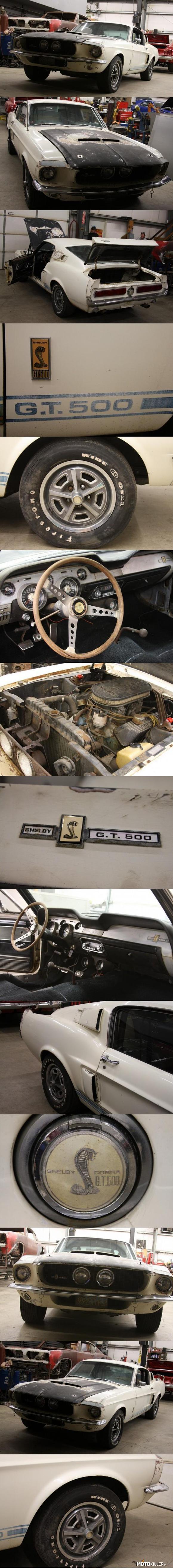 Znaleziono po latach Shelby GT500 Cobra – W poszukiwaniu nieużywanych i zapomnianych motoryzacyjnych perełek nie trzeba plądrować szop ani stodół. Powyższy Shelby Cobra GT500 jest dowodem na to, że takie auto można znaleźć nawet... na pustyni.
Oryginalny GT500 z 1967 roku został odnaleziony na pustyni w Kalifornii, gdzie stał nieużywany przez 25 lat. Wiatr i piasek wprawdzie całkowicie zniszczyły jego lakier, ale niska wilgotność zapobiegła korozji.
Egzemplarz ten został sprawdzony pod względem oryginalności i zostało dowiedzione, że jest to autentyczny Shelby GT500. Silnik to siedmiolitrowa jednostka typu big block, nominalnie wytwarzająca ok. 410 KM. Motor jednak najprawdopodobniej został poddany modyfikacjom przez poprzednich właścicieli.

Co ciekawe, obecny właściciel nie ma w planach doprowadzenia nadwozia do stanu idealnego, a jedyne, co zostanie poddane renowacji, to silnik i pozostałe układy mechaniczne i elektryczne. 