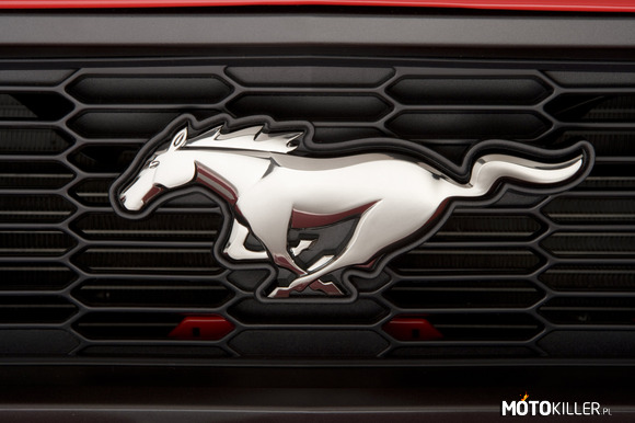 Ford Mustang logo –  