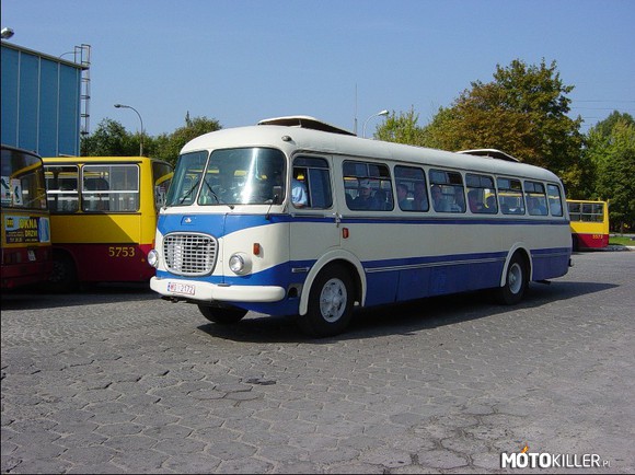 Ogórek – kolejny klasyk z PRL, czyli Jelcz 043, licencyjna odmiana autobusu Skoda 706RTO 