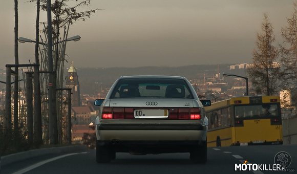 Audi V8 D11 – Kocham ten model! 