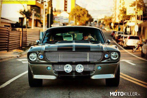 Mustang Shelby GT 500 &apos;&apos;Eleanor&apos;&apos; –  