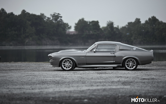 Mustang Shelby Gt500 Fastback Eleanor 1967 –  