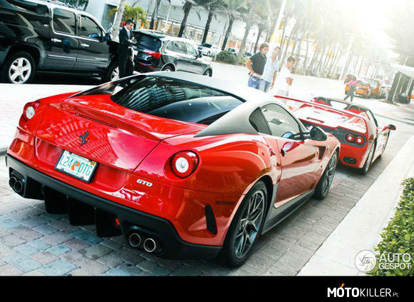 Ferrari 599 GTO & F50 –  