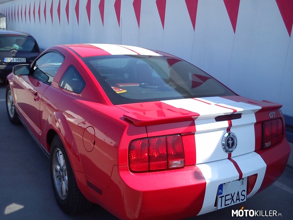 Mustang GT 500 – Piękny Mustang GT 500 napotkany przez brata na dachu jednej z galerii 