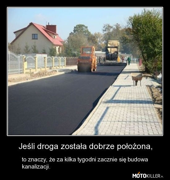 Jeżeli droga została dobrze położona. – Niestety przykra prawda o polskich drogach 