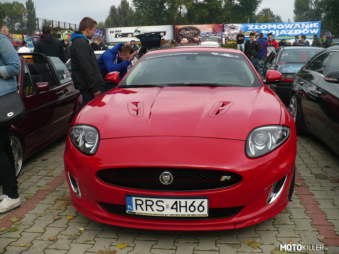 Jaguar na zlocie w Tarnowie – nie trzeba przedstawiać 