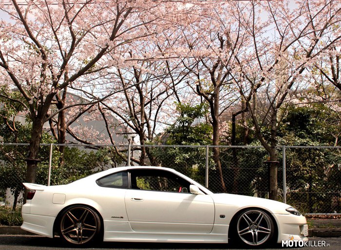 Japonia – Matka wielu pięknych samochodów 