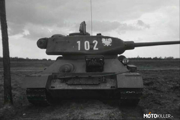 Rudy 102 – - nazwa własna czołgu, w którym walczyli główni bohaterowie, nadana na cześć rudowłosej Marusi, rosyjskiej sanitariuszki, narzeczonej Janka Nazwa została nadana w odcinku pt. Rudy, miód i krzyże. Czołg ten nosił numer taktyczny 102. W filmie rolę Rudego odgrywał czołg T-34/85. 