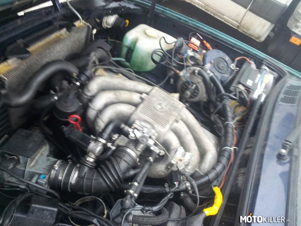 Silnik starej &quot;bejcy&quot; – Silnik BMW E30 znalezionego za garażem, 3 litry, ponad 200KM, turbosprężarka z tego co zauważyłem 