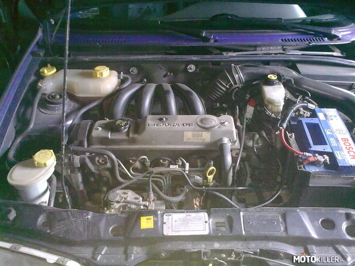 Ford Fiesta mk4 – Ford Fiesta mk4 rok produkcji 1999, silnik 1.8 60KM (diesel) przebieg niecałe 85 tys. km 