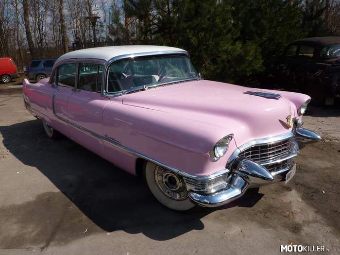 Różowy Cadillac Fleetwood – Wiecie może kto takim jeździł? 