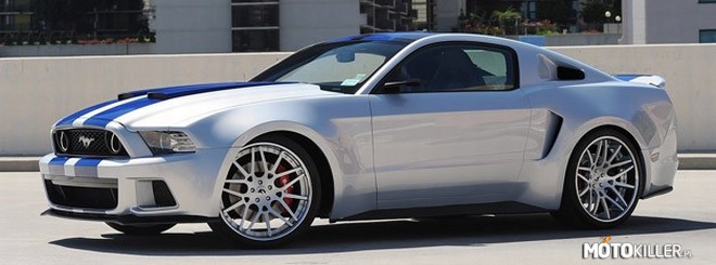 Need for Speed part 1 – Wpadłem na pomysł, aby zrobić serię o samochodach, którymi jeździli aktorzy w filmie `Need for Speed`. Jeśli seria się przyjmie to będę dodawał jeden samochód dziennie.

Na pierwszy ogień idzie Ford Shelby GT500. Napęd w fabrycznym Shelby GT500 przenosi na koła tylne 6-biegowa skrzynia manualna, a siłę napędową generuje zamontowany z przodu silnik V8 z aluminiowym blokiem. Jego 5.8-litrowa pojemność wspomagana jest dodatkowo kompresorem. Generowana moc 662 KM dostarczana jest przy 6500 obr./min, a maksymalny moment obrotowy wynosi 631 Nm przy 4000 obr./min. Auto pierwsze 100 km/h osiąga w 3,5 sekundy, a prędkość maksymalna dochodzi do 322 km/h. Filmowy GT500 postawiony na 22-calowych felgach, otrzymał zwiększoną moc silnika do 900 KM. 