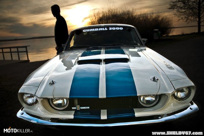 1967 Shelby GT500 – Gumball 3000 