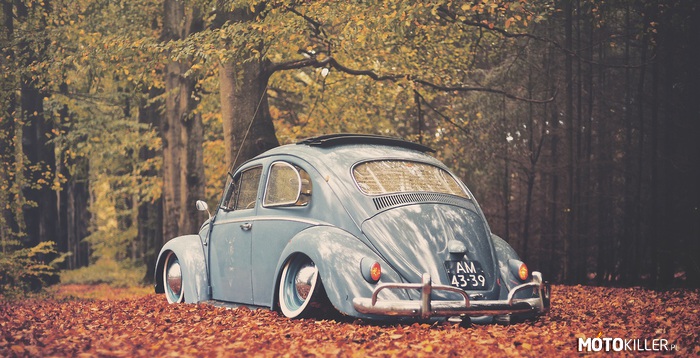 Volkswagen Beetle 1959 –  
