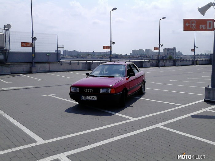 Audi 80 b3 – Poznań Malta i mój pierwszy samochód. Audi 80 1.8 K-Jetronic 90KM
Nowy lakier, zderzaki przywrócone do ładu. 