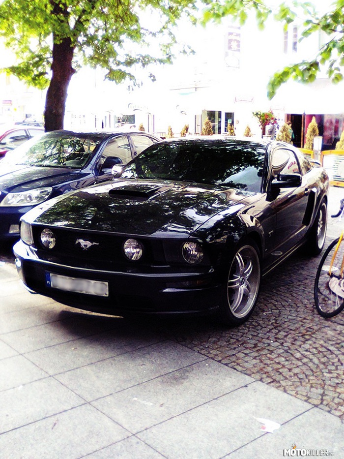 Ford Mustang GT – Mustang spotkany w mojej miejscowości. Po drugiej stronie parkingu można wieczorem często spotkać czerwone Camaro, a na lewo wzdłuż parkingu jak się pójdzie można R8 spotkać. Może ktoś kojarzy miejscowość? 
Specyficzne auta w jednym miejscu. 