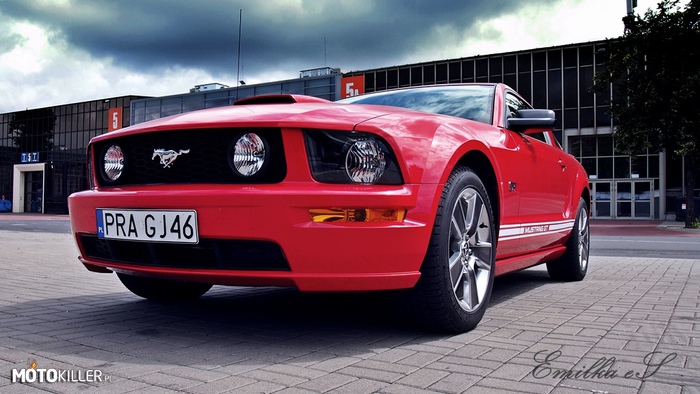 Mustang 2013 – Kolejny Mustang - Nie macie mnie dosyć? 