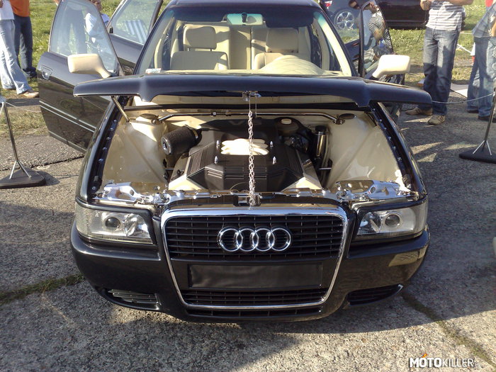 Audi – hit czy kit? 