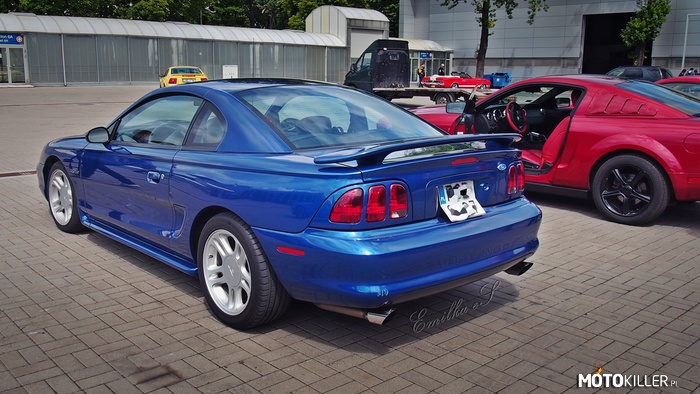 Mustangi – Niebieski IV generacja, czerwony (wpadający w róż) V gen, czerwony Mach 1 w oddali stojący I gen. 