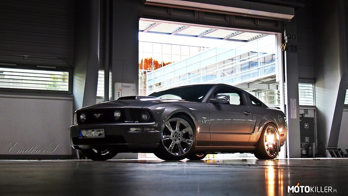 Mustang  S197 GT – Mustang z 2005 roku i magiczne V8 pod maską. Piękny ogier. 
