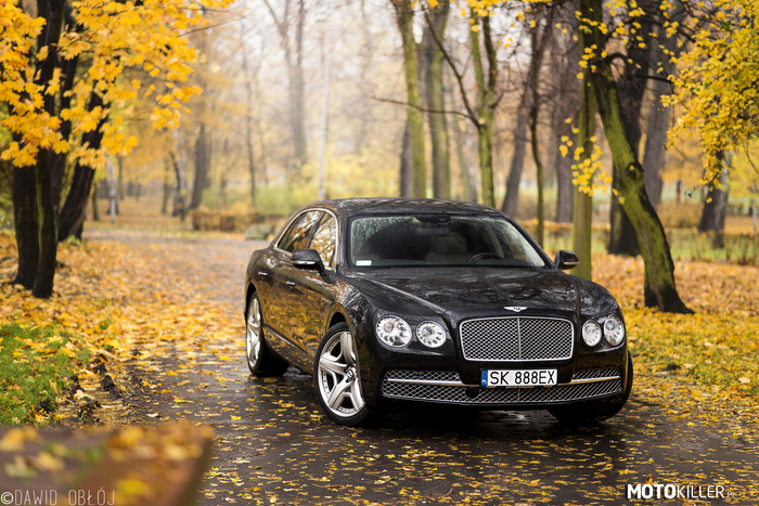 Bentley Flying Spur - Dawid Obłój Photogrphy – Brytyjskiej produkcji samochód podczas typowej brytyjskiej pogody tej polskiej jesieni! 