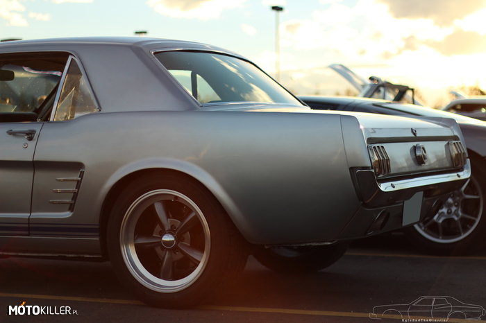 Mustang &#039;65 –  