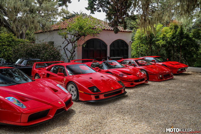 Ewolucja – Od prawej: 288 GTO, 288 GTO Evoluzione, F50, F40 i Enzo. 