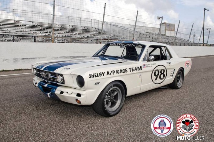 Shelby Mustang z 1965 roku – Więcej zdjęć w źródle. 