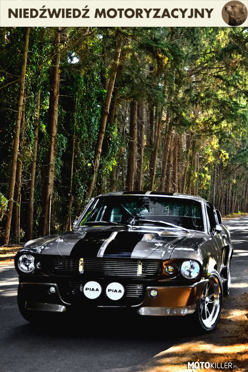 Ford Mustang Eleanor –  