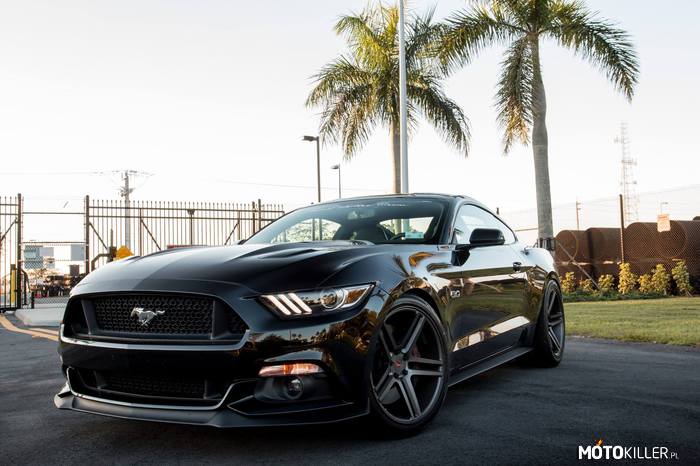 Ford Mustang VI – Mustang on Vossen. 