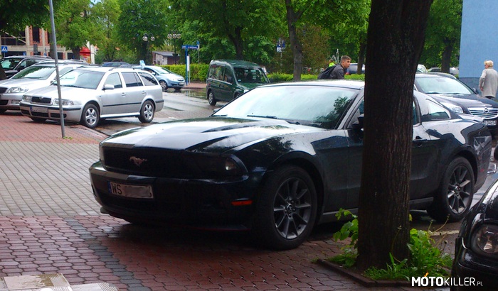 Pony – Ford Mustang V 