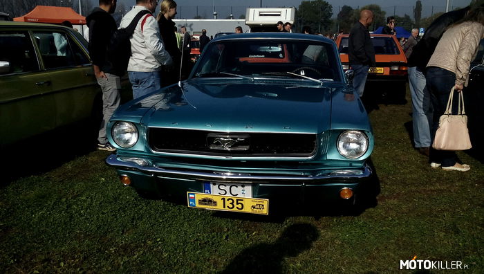 Ford Mustang – Ford mustang z 1967 roku. 