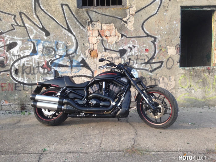 Harley Davidson V-Rod Night Rod Special – Nieziemska maszyna, zachwyca wygodą i przeraża mocą. 