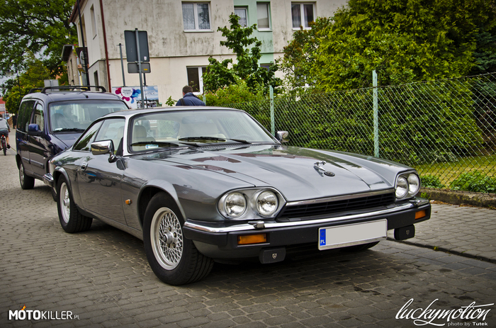 Jaguar XJS – Bardzo ładny okaz spotkany na Helu. 