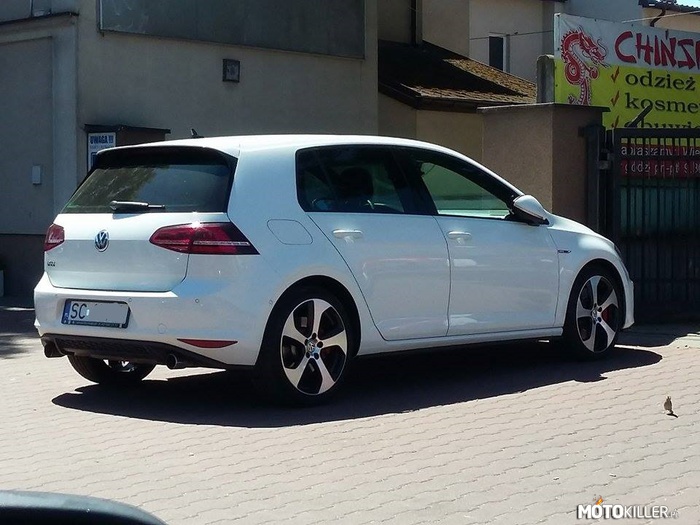 VW Golf 7 GTI – Napotkany w drodze na zawody. 