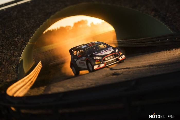 Ford Fiesta RS WRC – Roberta Kubicy 