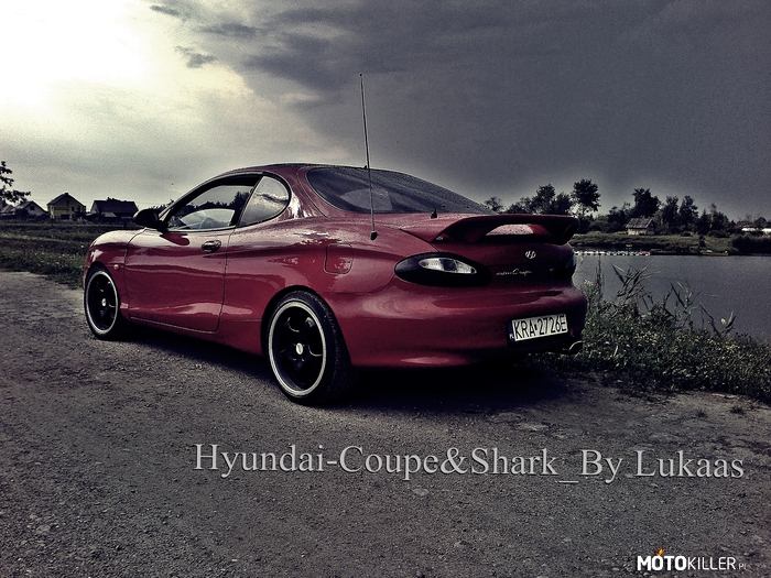 Hyundai Coupe (Shark) – Hyundai Coupe rd1, robiony pod wzór rekina.. 