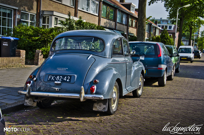 Morris Minor 1000 – Spotkany w Holandii. 