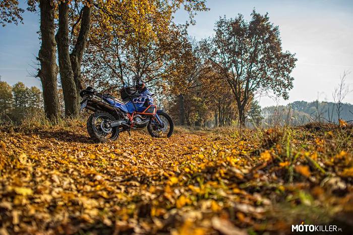 Jesiennie KTM 990 Adventure –  