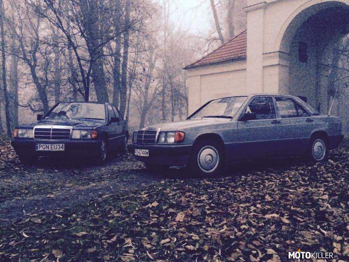 Mercedes 190 e oraz 190 d – Spotkały się dwa Mercedesy we mgle przy pięknej bramie... 