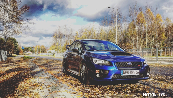 Subaru na liściach – Jesień zwiastuje zimę, ale my się jej nie boimy. Do zobaczenia na warszawskich, ośnieżonych parkingach. 