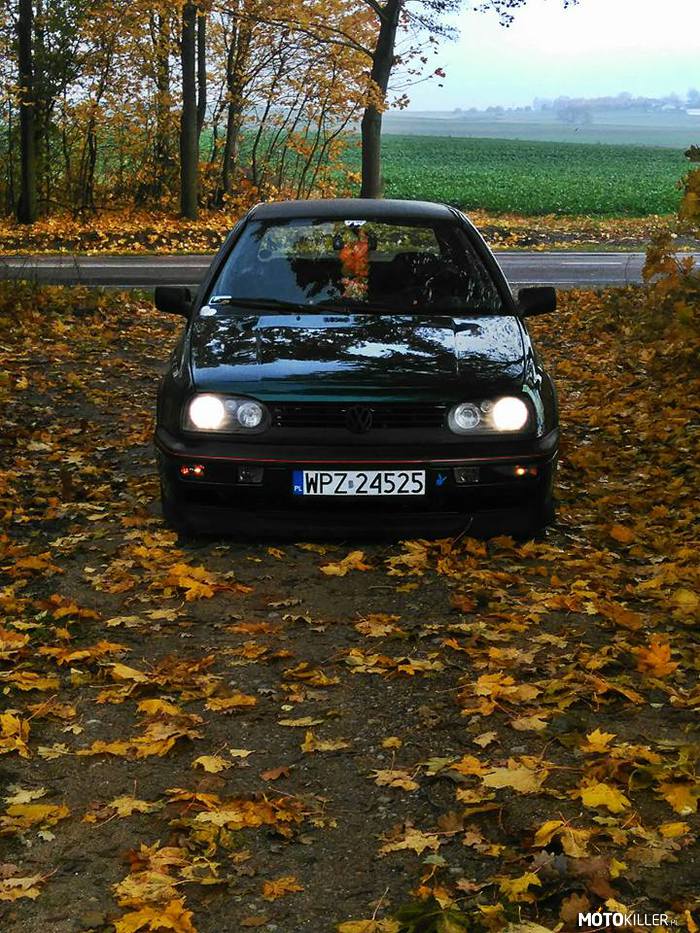 Autumn with #FakeGTI – Moje udawane GTI, silnik 1z+. 