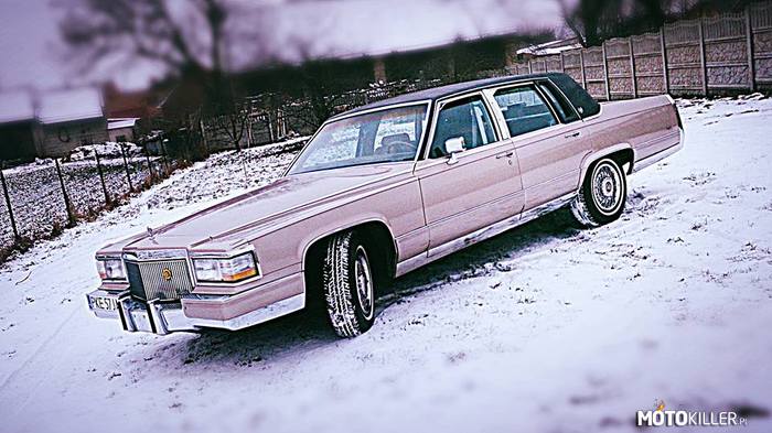 Cadillac – Mój Brougham aż machał ogonem na widok śniegu. 