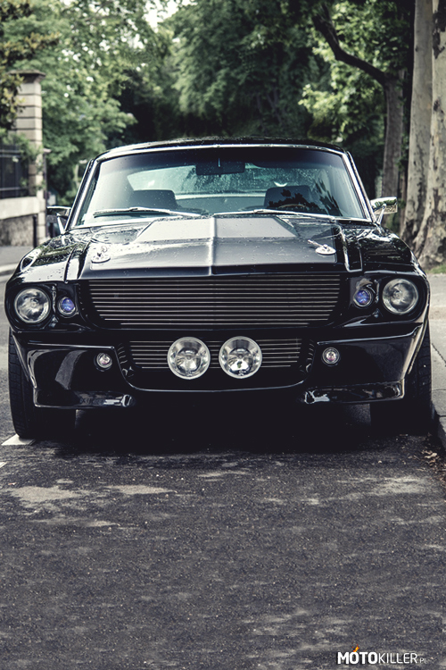 Black Eleanor – Mustang Shelby 
