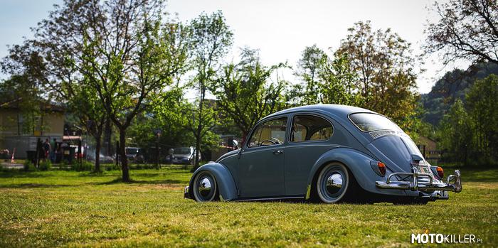 Volkswagen Beetle – Garbus 