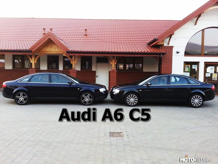Audi a6 c5 – &lt;--- 2.4 v6 / 1.8t ---&gt;
 

Audiczki. Pozdrawiają wszystkich Motokillerów! Bez względu na markę! 