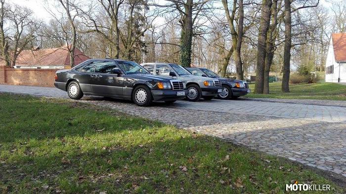 Mercedes Benz w124 w201 – Taki mały wypad ze znajomymi pod Pałac w Rogalinie. 
Zapraszam na fanpage na fb. 