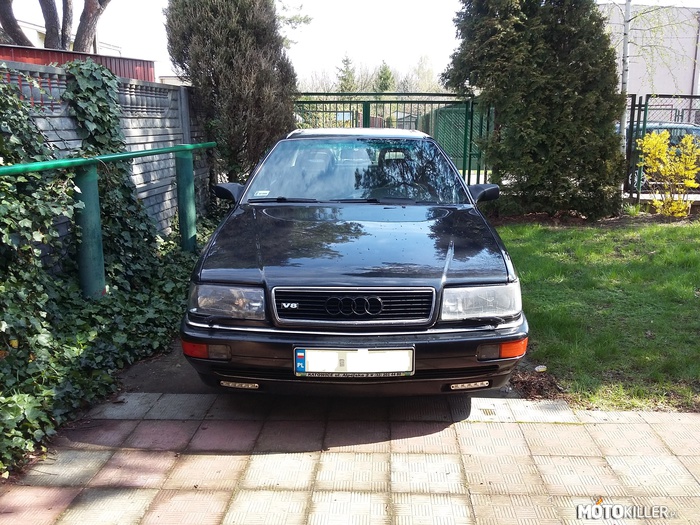 Audi v8 z kolekcji domowej – Kolejna odsłona pięknej v8 