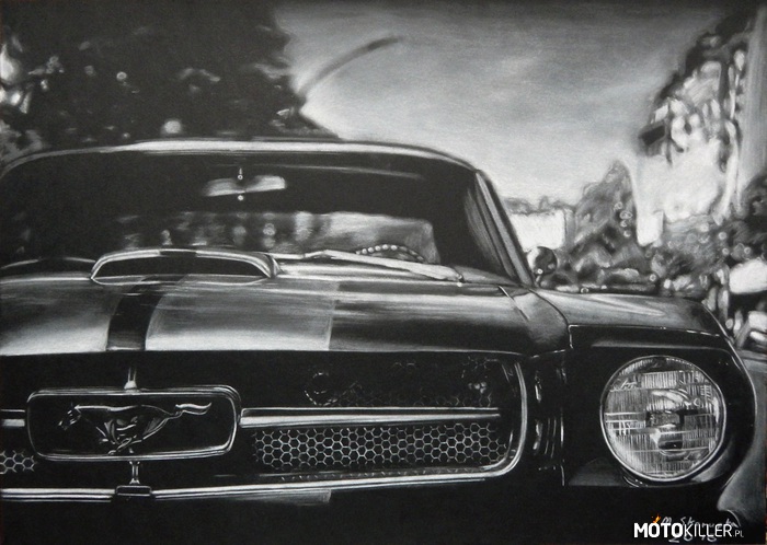 Mustang - rysunek – Witajcie.  
Rysunek mojego autorstwa. 
Biała kredka i pastel na czarnym papierze. Wymiary: 50x70 cm.
Podoba się Wam?

Zapraszam serdecznie na mój fanpage z rysunkami na facebook&#039;u. Link w źródle. 